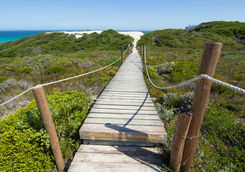 Wooden walkway Hoop reserve