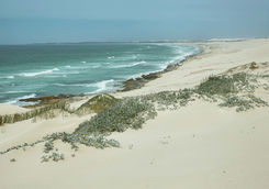 Beach De Hoop reserve