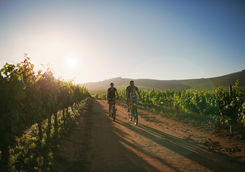 Family ride winelands