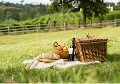 Picnic winelands