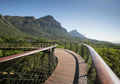 Botanical garden Kirstenbosch