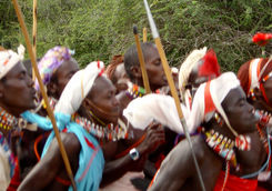 masai warriors