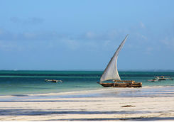dhow on the beach