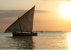 dhow saling boat