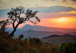 Sunset in the bush