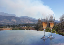 Wine glasses in Franschhoek