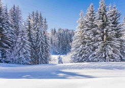 Landscape Megeve
