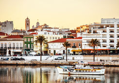 algavre