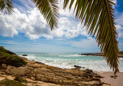 ingrina beach