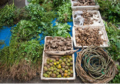 Tea leaves and spices in Myanmar market