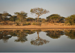 Limpopo Province