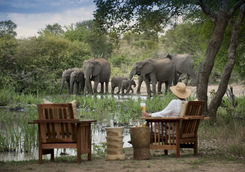 Tanda Tula waterhole view