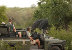 Spotting an elephant on a game drive
