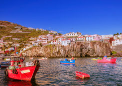 Bay of Camara de Lobos