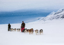 mushing