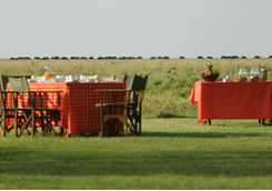 Breakfast with Wildebeest in the distance