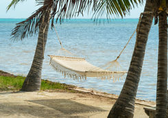 Hammock on a beach