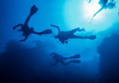 Scuba divers at a reef