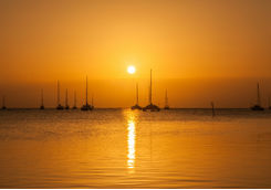 Catamaran at sunset