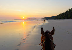 Horseriding on a beach at sunset