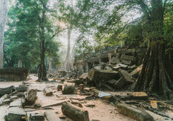 Angkor temple at sunrise
