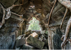 Tree roots breaking through an archway