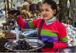 Cambodian woman selling deep fried insects and tarantulas