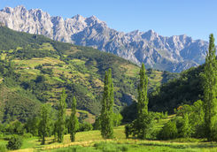 Picos de Europa landscape