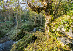 Picos de Europa trail