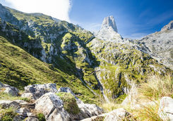 Naranjo de Bulnes