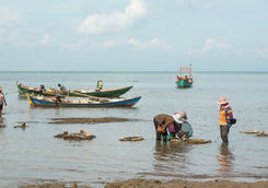Men fishing crabs
