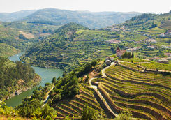 Douro valley