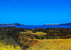 Santorini volcano flora