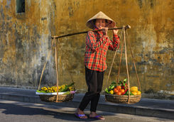 vietnamese woman selling tropicals fruits