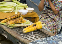 Guatemalan corn