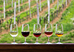 Glasses with red, pink and white wine