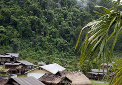 wooden houses