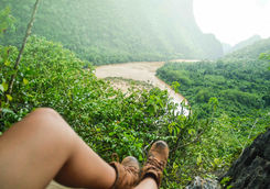 on the top tropical forest