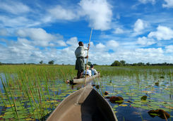Canoeing in the Okavango Delta