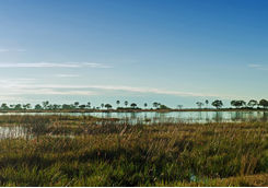 Selinda Reserve landscape
