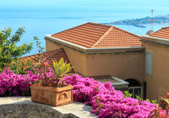 taormina city flowers scene