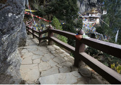 tigers nest stairs