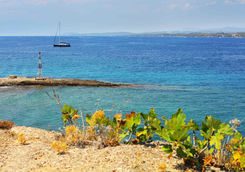 Coast of Spetses island