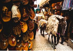 Donkey in Fez street