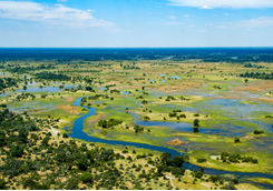 okavango birdseye