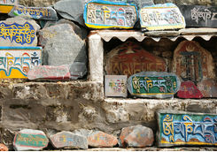 dharamsala signs