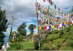 prayer flags
