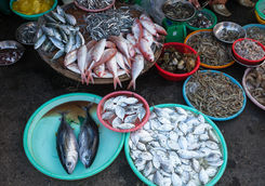wet market