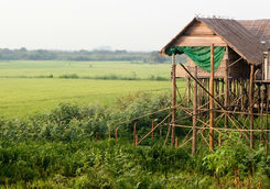 siem reap countryside