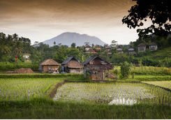bali village